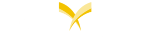 TFCU-logo-horiz-white-copy 2 TFCU-logo-horiz-white-copy 2